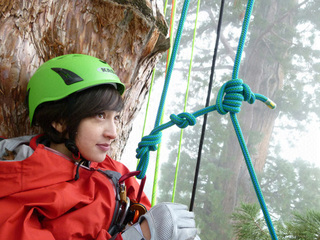 Km08800L.jpg